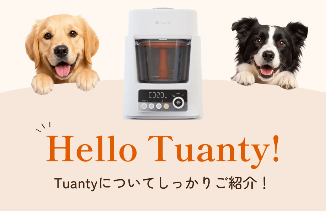 Tuanty LP section 04