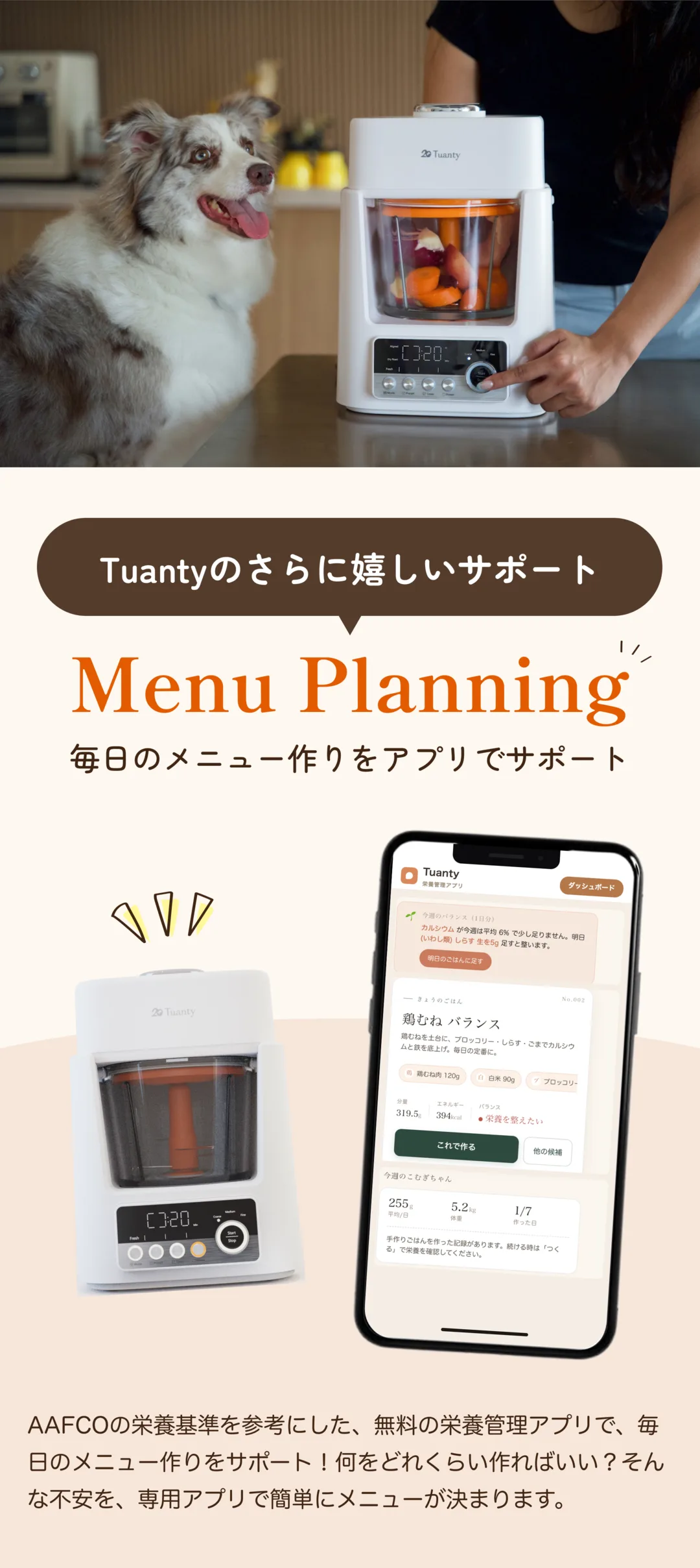 Tuanty LP section 17